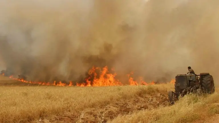 تكرار حرق المحاصيل الزراعية في سوريا.. من المستفيد ومن المتضرر