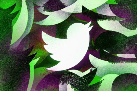 تويتر يطلق ميزة مراقبة الطيور Birdwatch وتهدف إلى مكافحة المعلومات المضللة