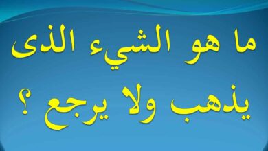 ماهو الشي الذي يذهب ولا يرجع