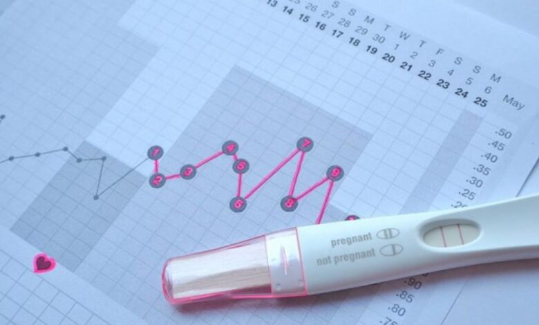 ماهي الإفرازات التي تدل على الحمل قبل الدورة